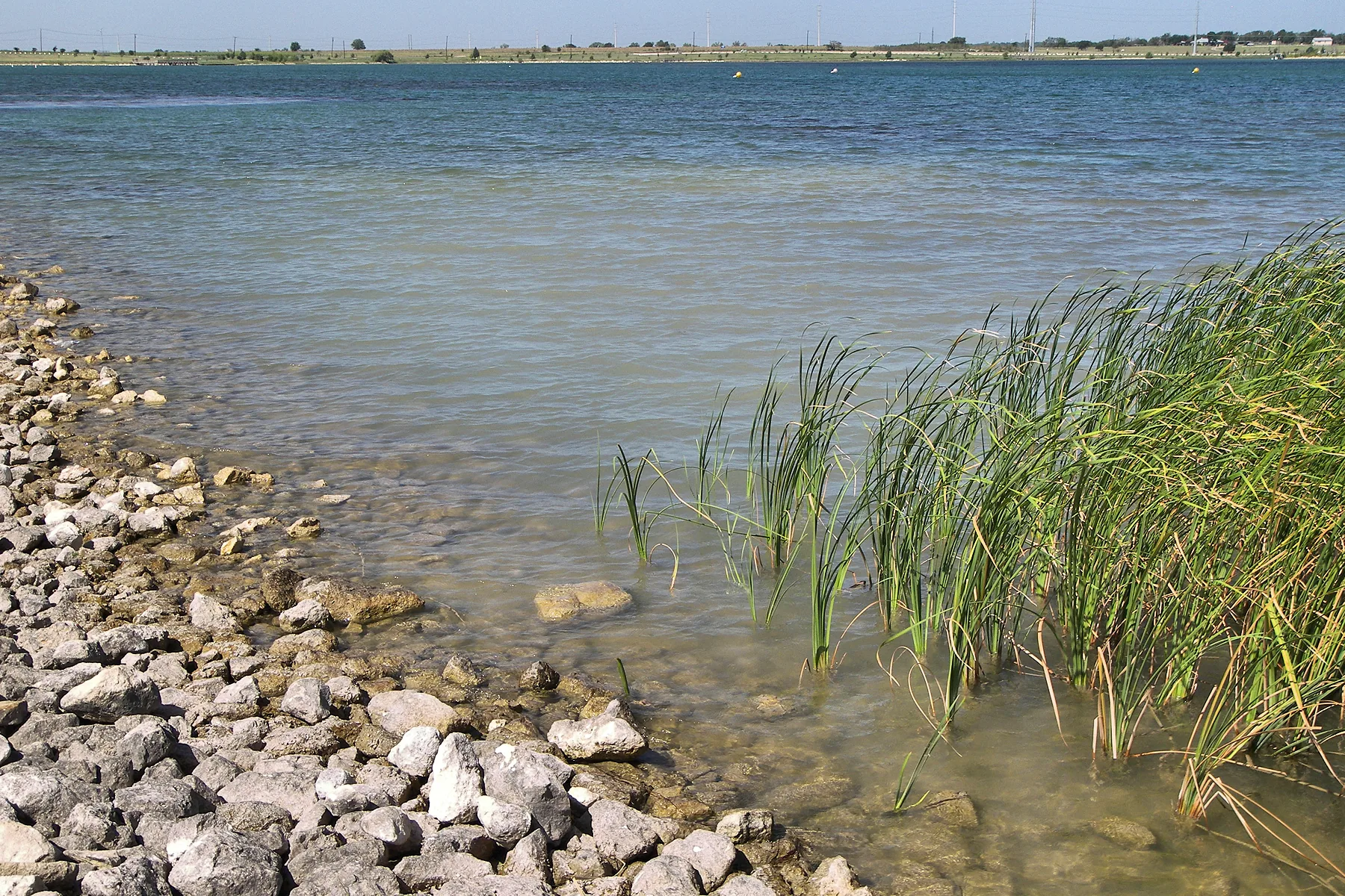 Lake Pflugerville, 2012